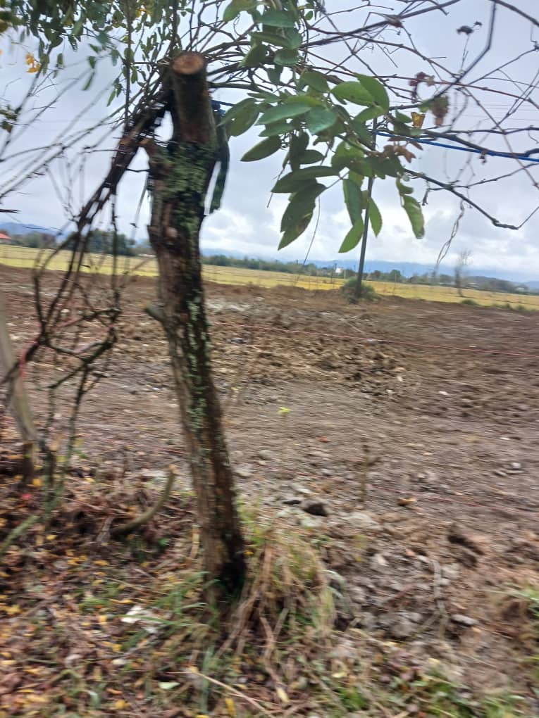 با 1800مسکونی عمل تقسیم و ضرب انجام بده سرمایه تو چندین برابر کن