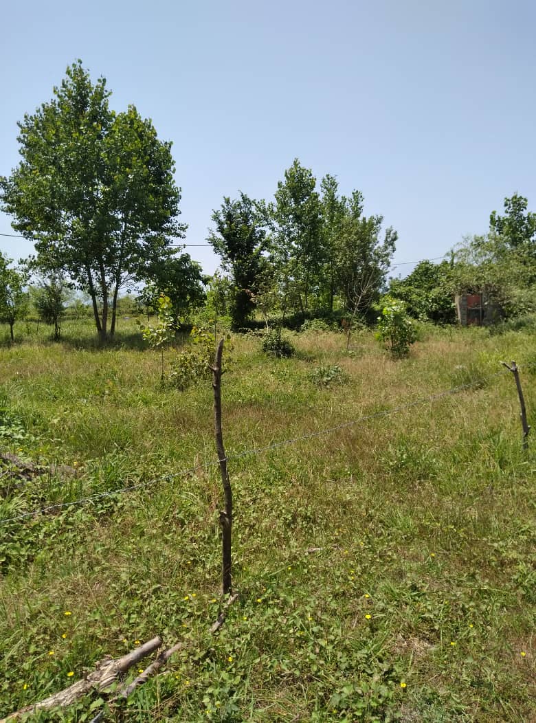 630زمین با ویلا ارزان ترین