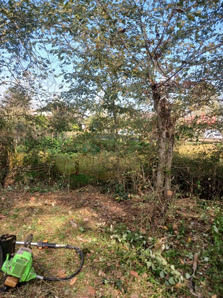 1000متر مسکونی با سند سبز